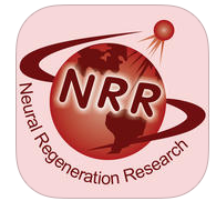 Intranasal nerve growth factor bypasses the blood-brain barrier and affects spinal cord neurons in spinal cord injury.